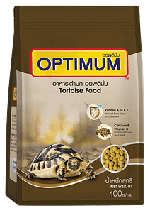 Optimum Tortoise