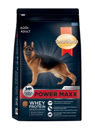 SmartHeart Power Maxx