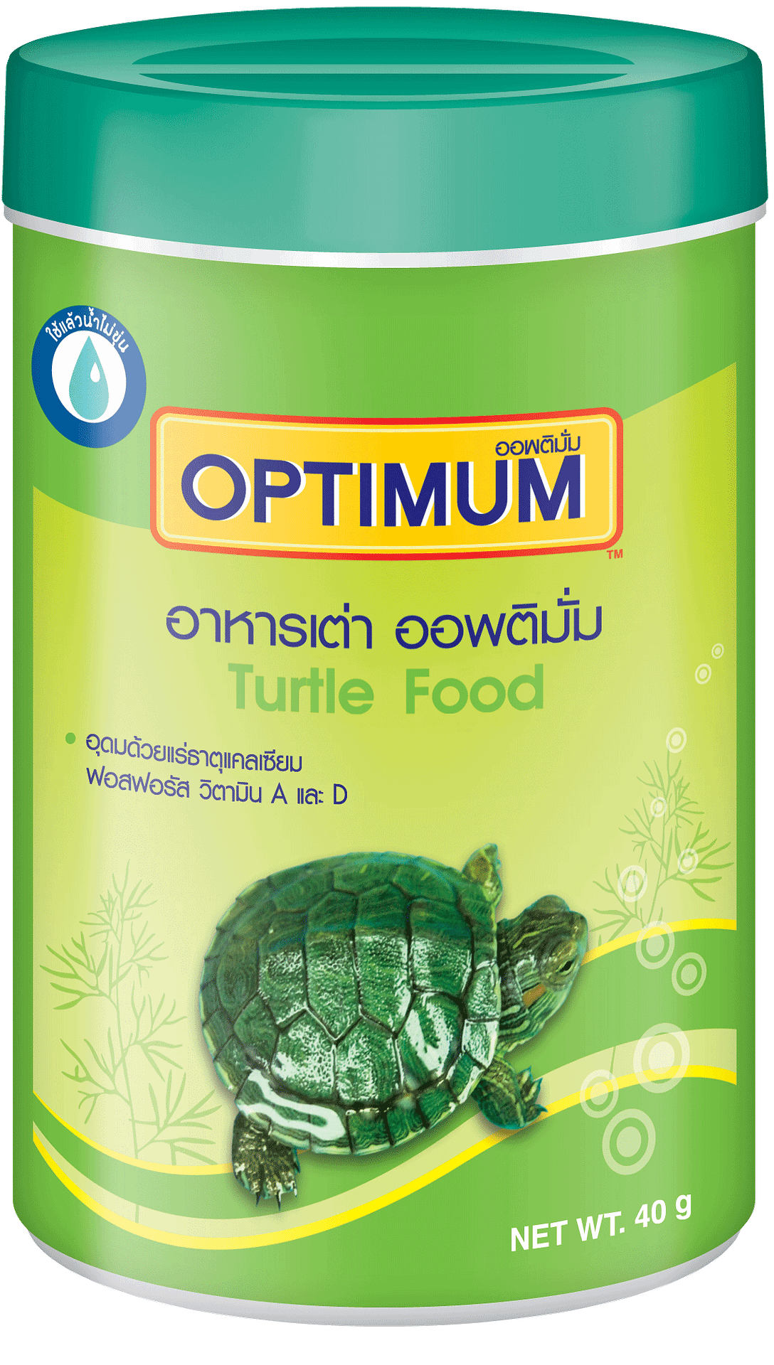 Optimum Turtle ?>