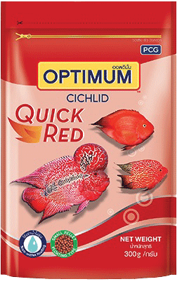 Optimum Cichlid ?>